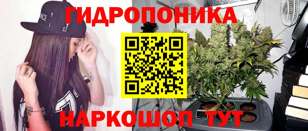 Каннабис индика  Бошки марихуана White Widow  Канабис гибрид  Марихуана гибрид  Вход с VPN  Соль-Илецк 